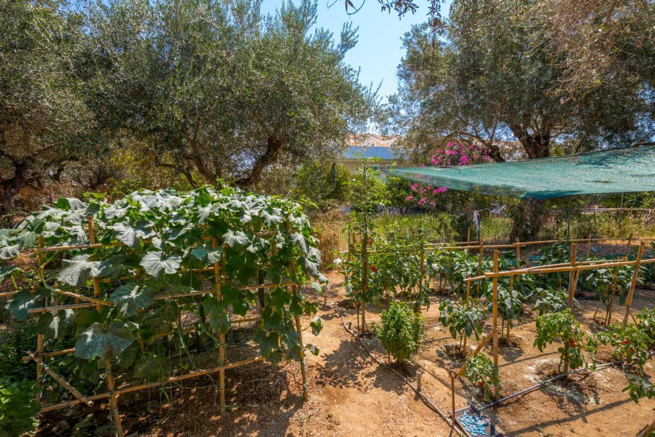Mon Repo Suites Laganas Dış mekan fotoğraf